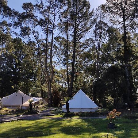 Glamping at Zeehan Bush Camp Bagian luar foto