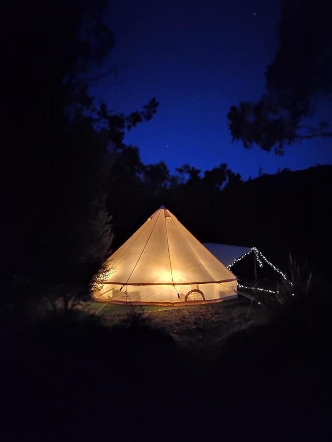 Glamping at Zeehan Bush Camp Bagian luar foto