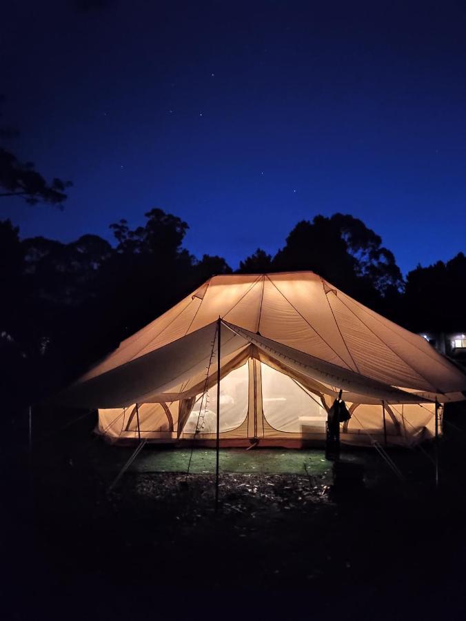 Glamping at Zeehan Bush Camp Bagian luar foto