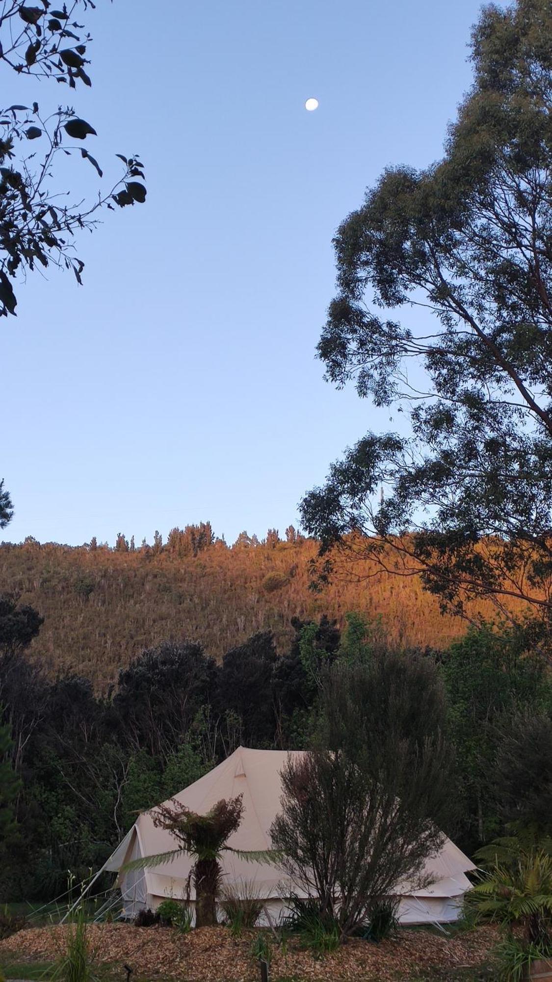 Glamping at Zeehan Bush Camp Bagian luar foto