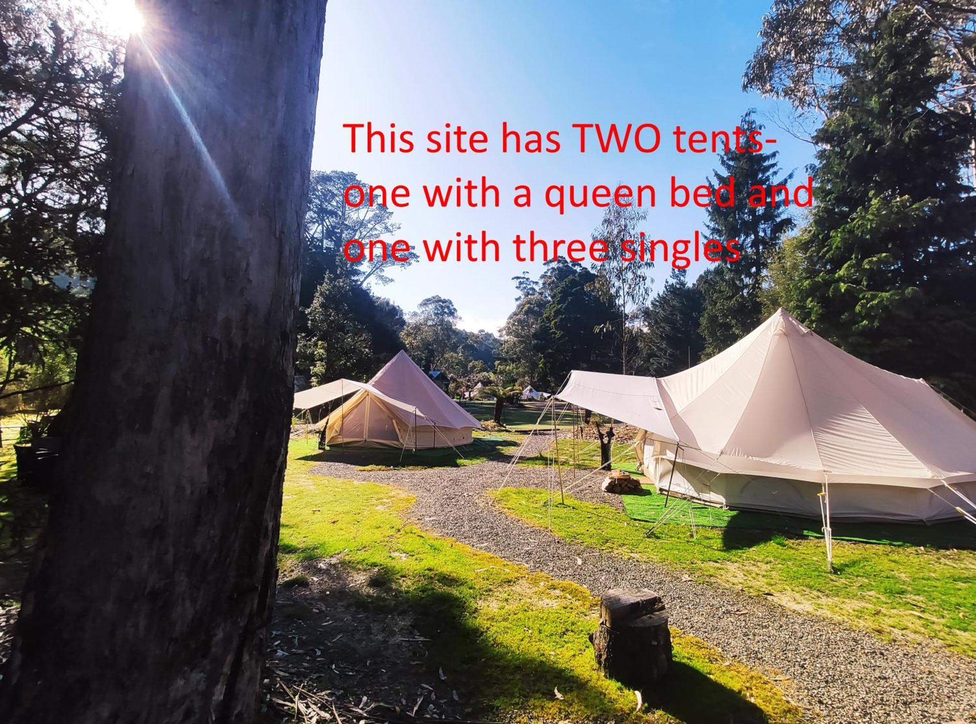 Glamping at Zeehan Bush Camp Bagian luar foto