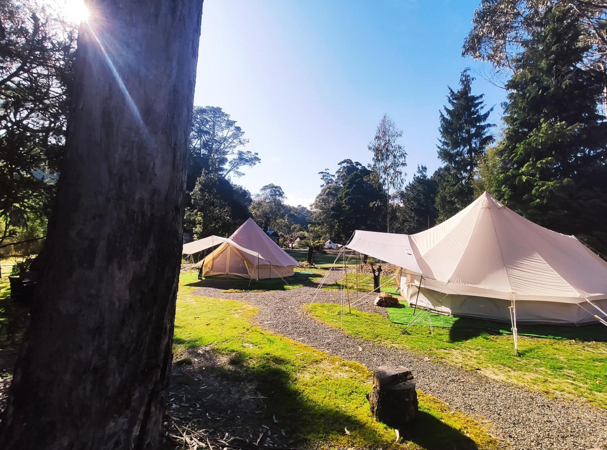 Glamping at Zeehan Bush Camp Bagian luar foto