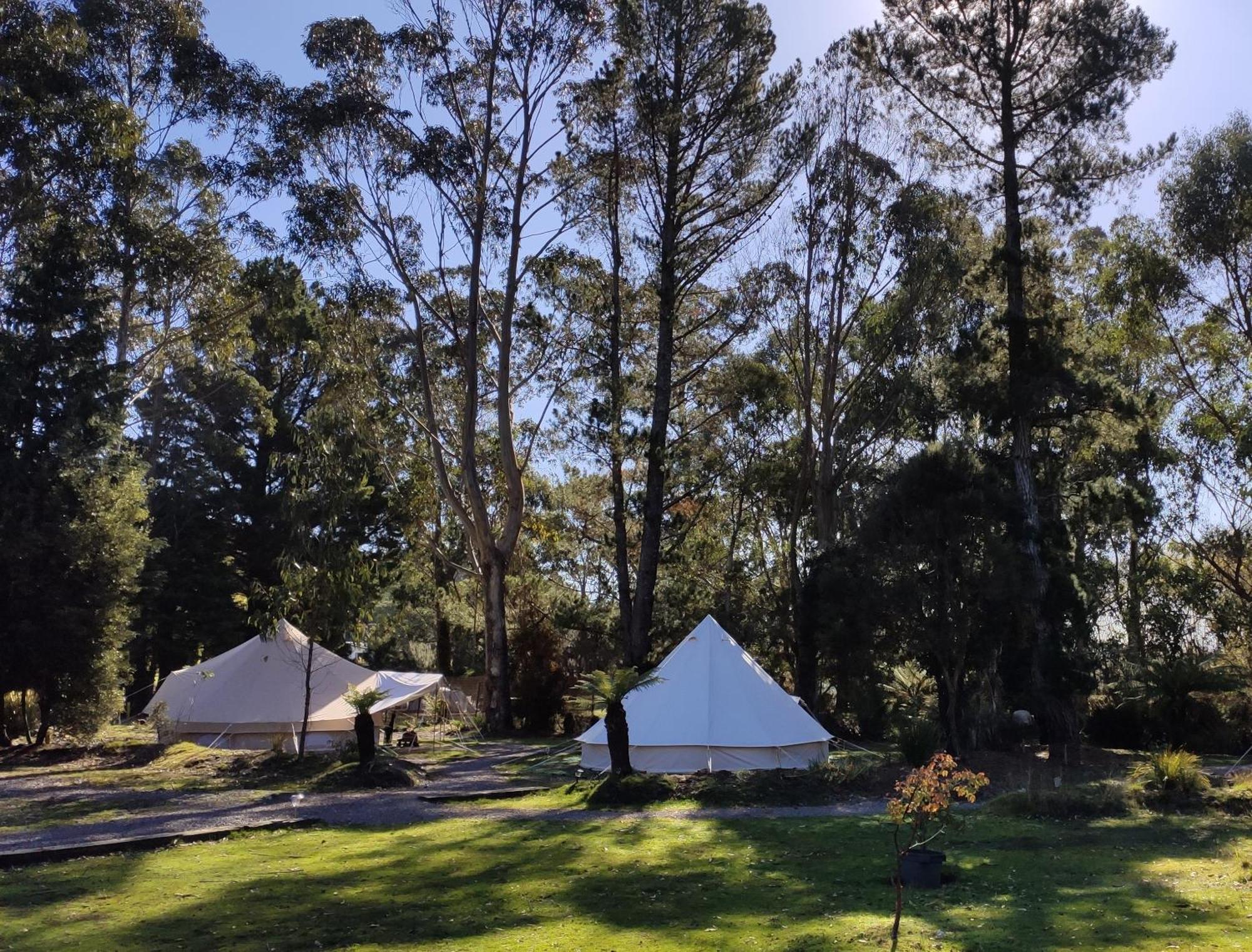 Glamping at Zeehan Bush Camp Bagian luar foto