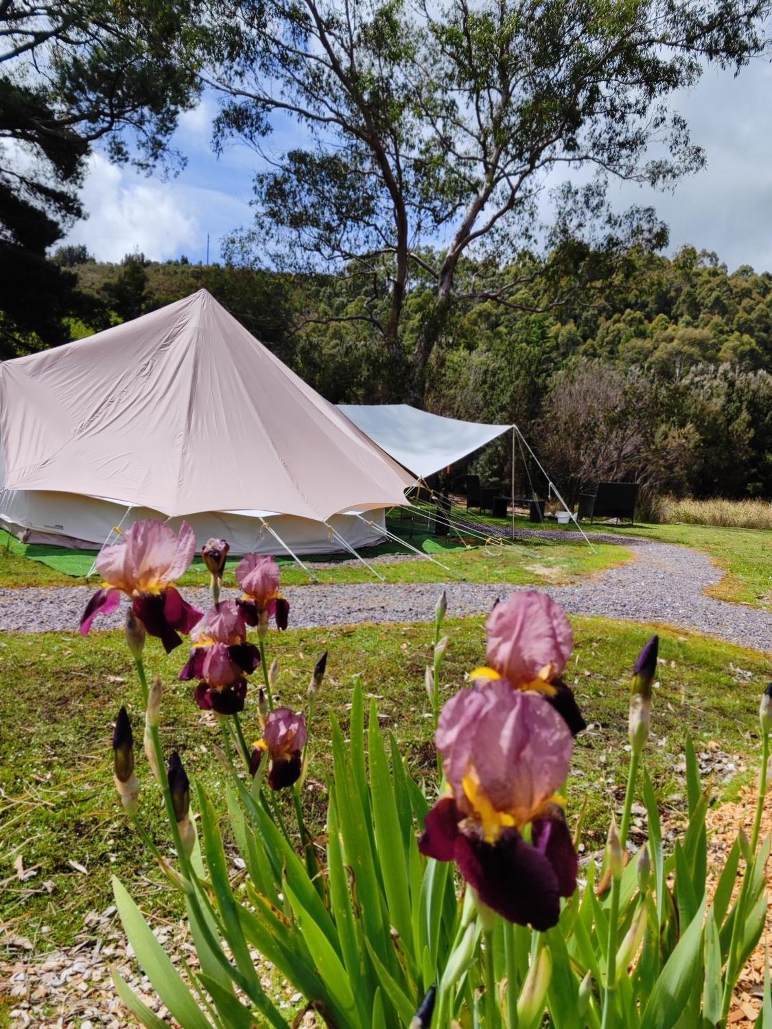 Glamping at Zeehan Bush Camp Bagian luar foto