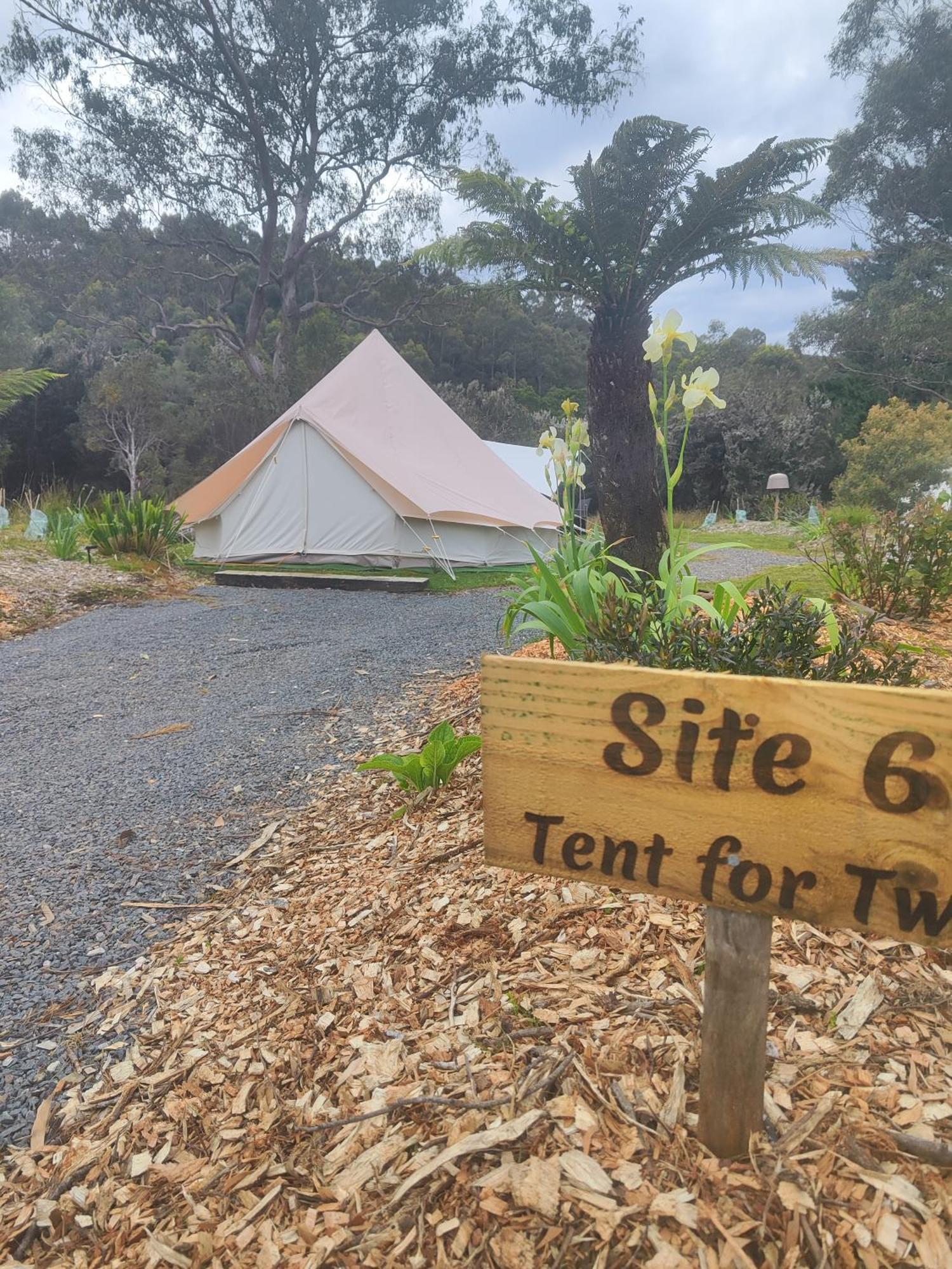 Glamping at Zeehan Bush Camp Bagian luar foto