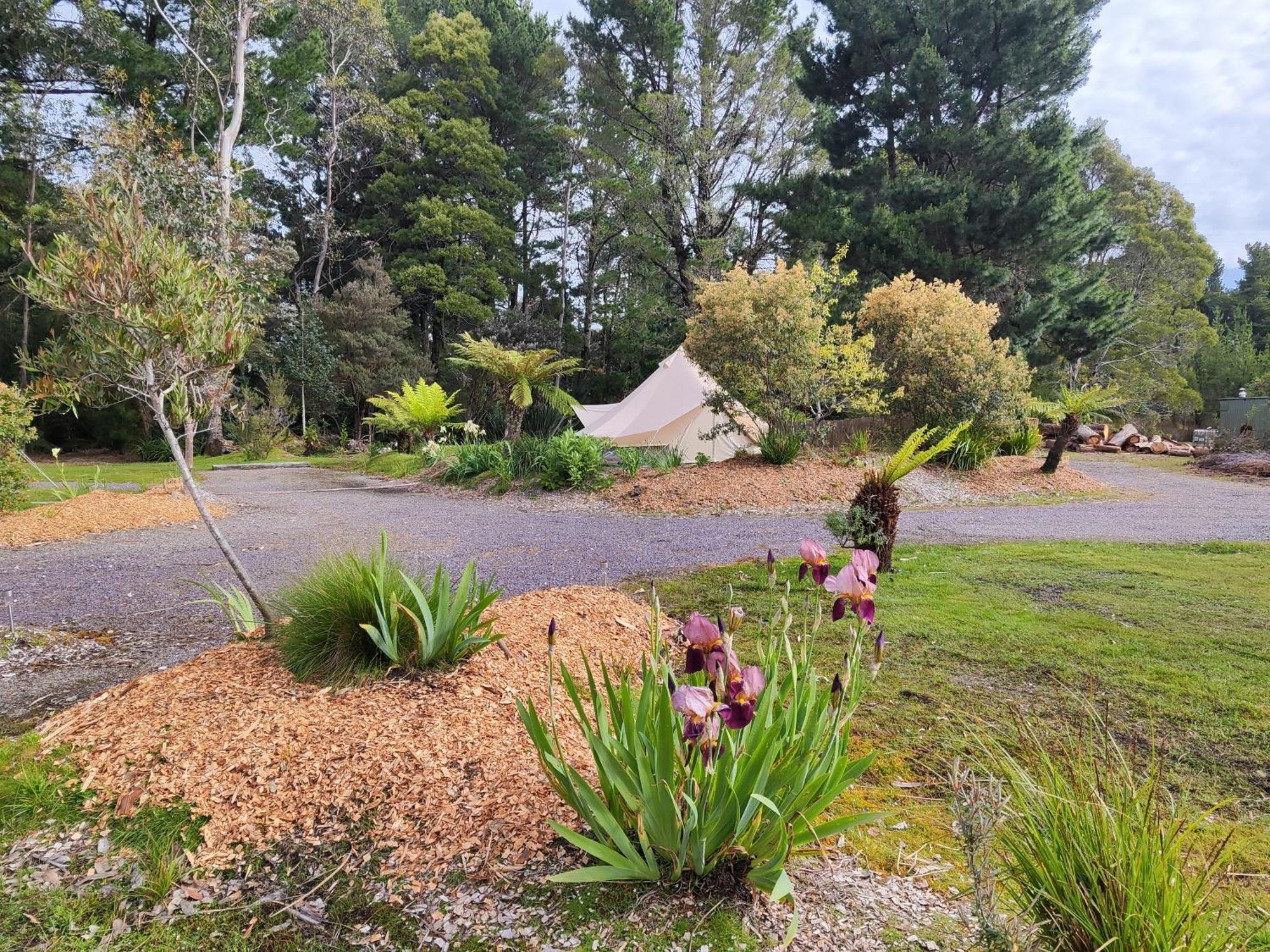 Glamping at Zeehan Bush Camp Bagian luar foto