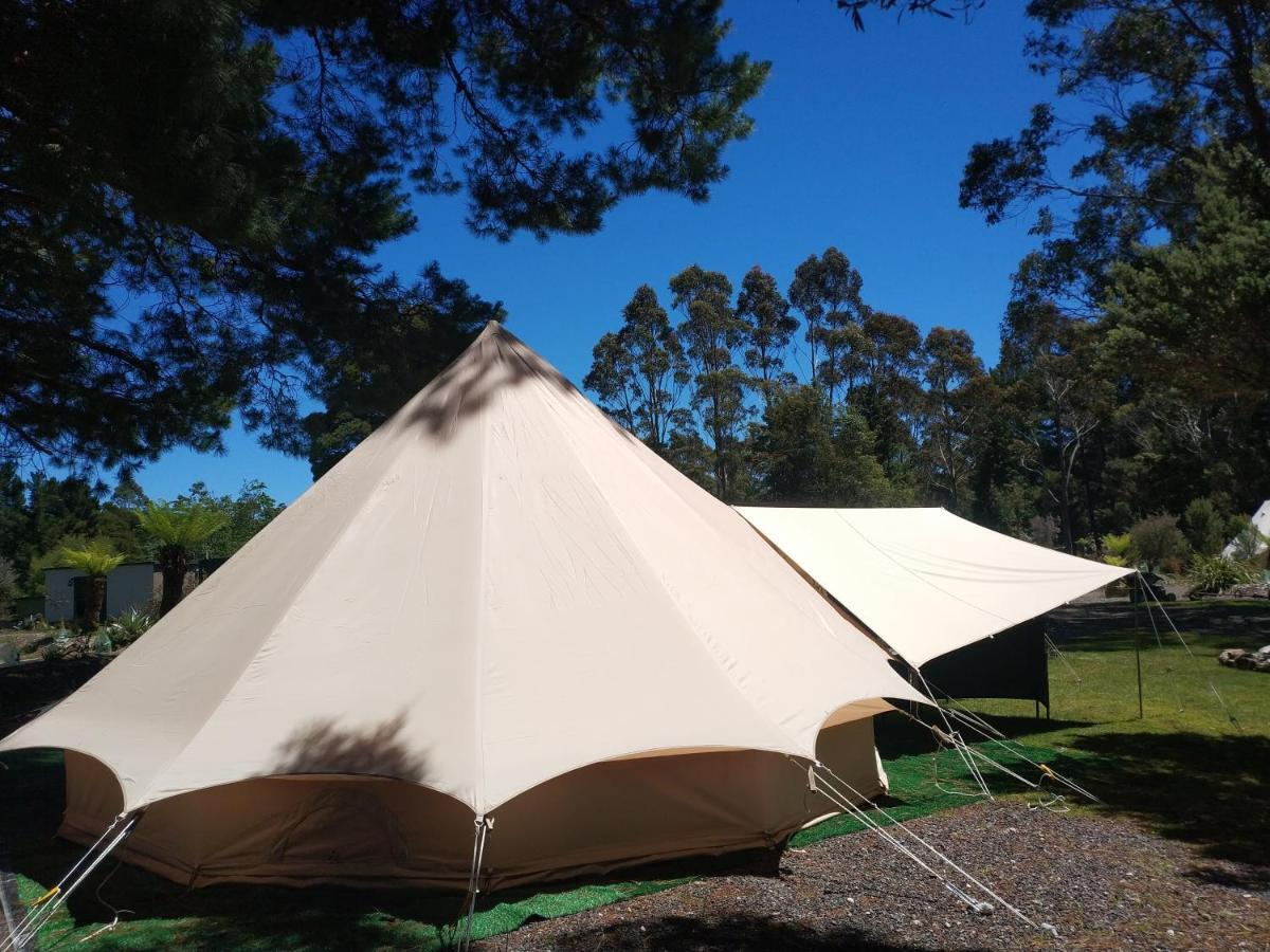 Glamping at Zeehan Bush Camp Bagian luar foto