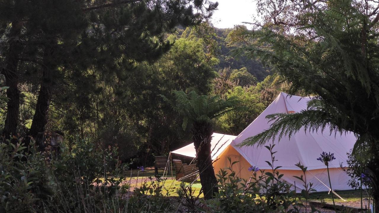 Glamping at Zeehan Bush Camp Bagian luar foto